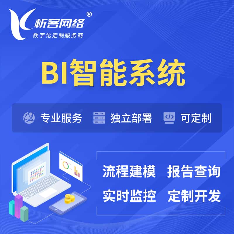 鞍山BI智能系统 | BI数据可视化